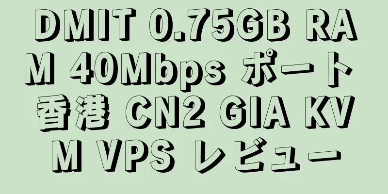 DMIT 0.75GB RAM 40Mbps ポート 香港 CN2 GIA KVM VPS レビュー