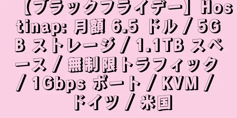 【ブラックフライデー】Hostinap: 月額 6.5 ドル / 5GB ストレージ / 1.1TB スペース / 無制限トラフィック / 1Gbps ポート / KVM / ドイツ / 米国