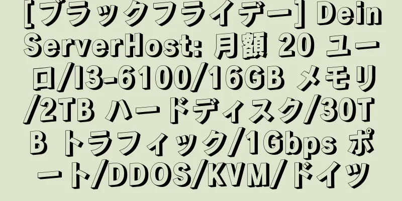 [ブラックフライデー] DeinServerHost: 月額 20 ユーロ/I3-6100/16GB メモリ/2TB ハードディスク/30TB トラフィック/1Gbps ポート/DDOS/KVM/ドイツ