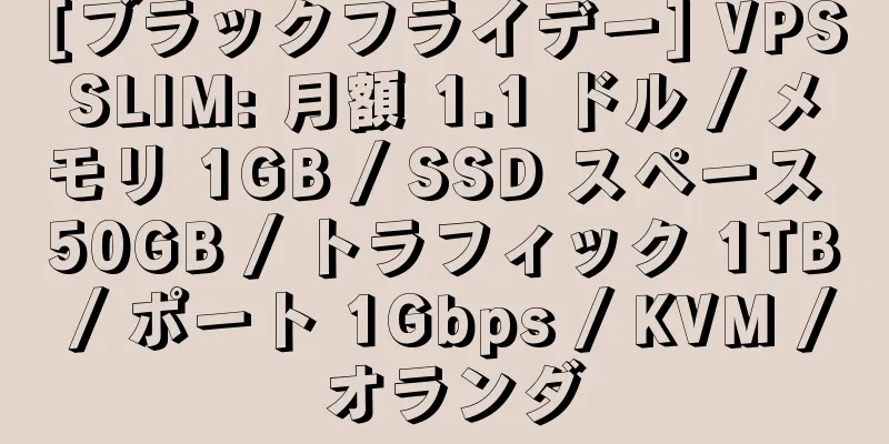 [ブラックフライデー] VPSSLIM: 月額 1.1 ドル / メモリ 1GB / SSD スペース 50GB / トラフィック 1TB / ポート 1Gbps / KVM / オランダ