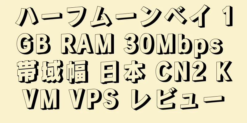 ハーフムーンベイ 1GB RAM 30Mbps 帯域幅 日本 CN2 KVM VPS レビュー