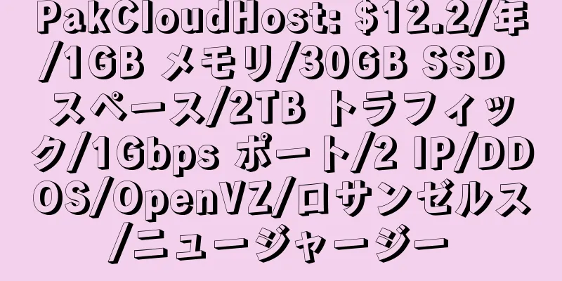 PakCloudHost: $12.2/年/1GB メモリ/30GB SSD スペース/2TB トラフィック/1Gbps ポート/2 IP/DDOS/OpenVZ/ロサンゼルス/ニュージャージー