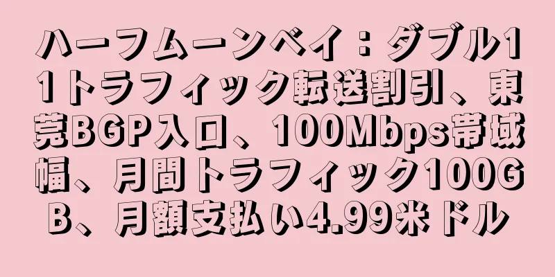 ハーフムーンベイ：ダブル11トラフィック転送割引、東莞BGP入口、100Mbps帯域幅、月間トラフィック100GB、月額支払い4.99米ドル