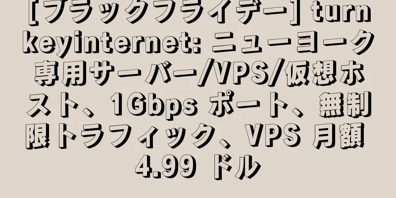 [ブラックフライデー] turnkeyinternet: ニューヨーク専用サーバー/VPS/仮想ホスト、1Gbps ポート、無制限トラフィック、VPS 月額 4.99 ドル