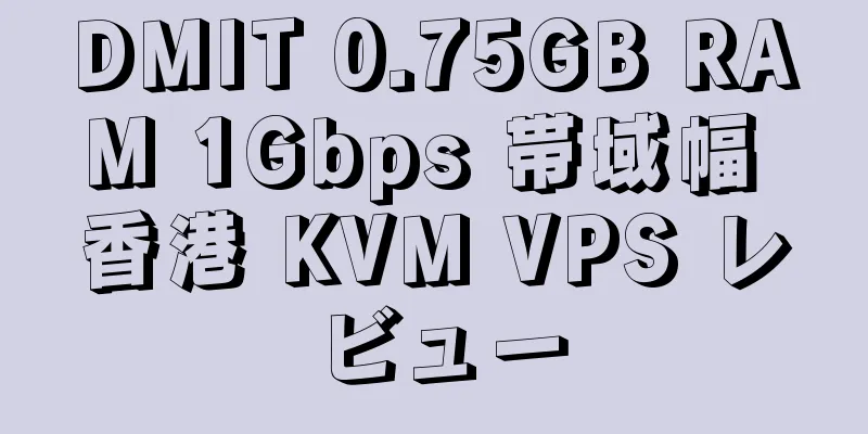 DMIT 0.75GB RAM 1Gbps 帯域幅 香港 KVM VPS レビュー