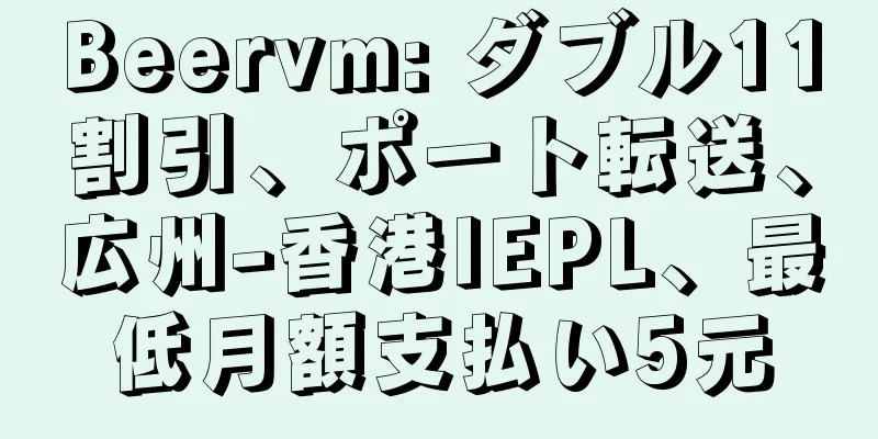 Beervm: ダブル11割引、ポート転送、広州-香港IEPL、最低月額支払い5元