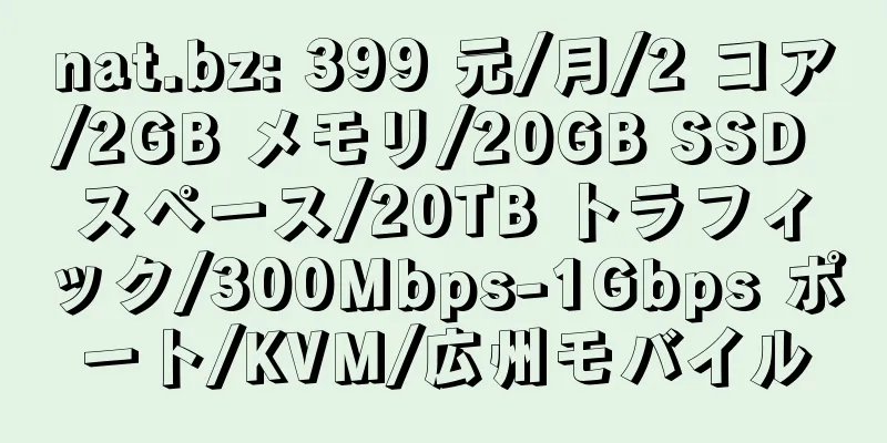 nat.bz: 399 元/月/2 コア/2GB メモリ/20GB SSD スペース/20TB トラフィック/300Mbps-1Gbps ポート/KVM/広州モバイル