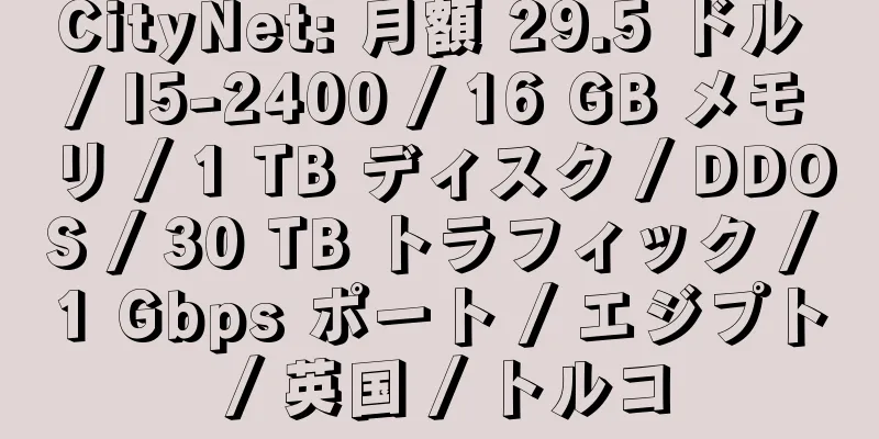 CityNet: 月額 29.5 ドル / I5-2400 / 16 GB メモリ / 1 TB ディスク / DDOS / 30 TB トラフィック / 1 Gbps ポート / エジプト / 英国 / トルコ