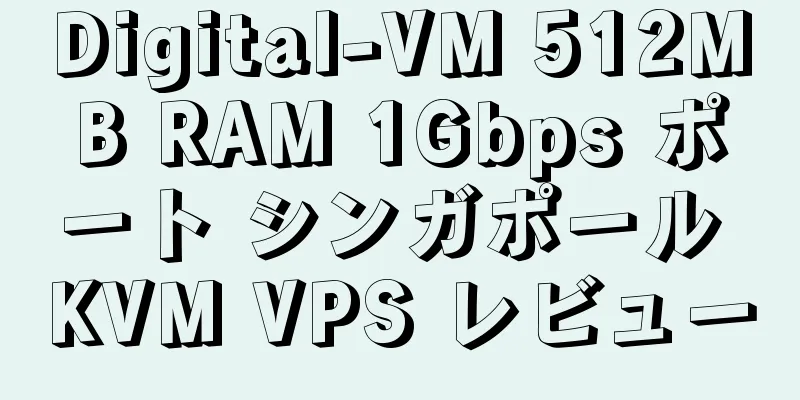 Digital-VM 512MB RAM 1Gbps ポート シンガポール KVM VPS レビュー