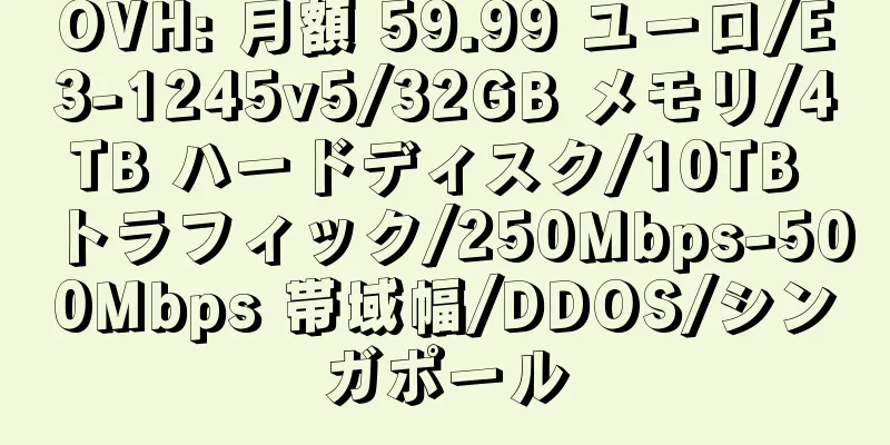 OVH: 月額 59.99 ユーロ/E3-1245v5/32GB メモリ/4TB ハードディスク/10TB トラフィック/250Mbps-500Mbps 帯域幅/DDOS/シンガポール