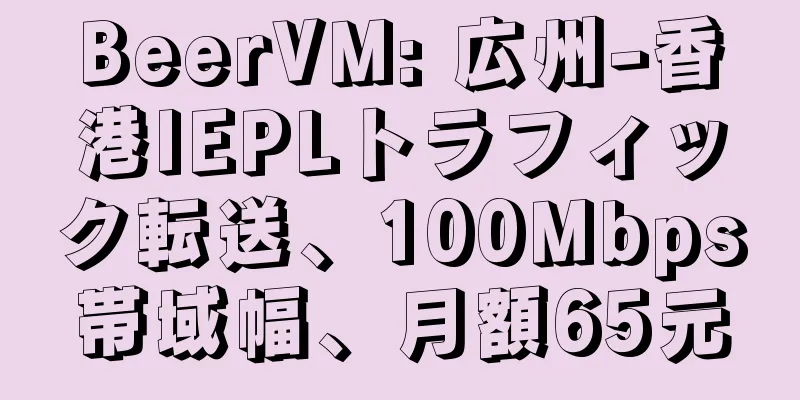 BeerVM: 広州-香港IEPLトラフィック転送、100Mbps帯域幅、月額65元