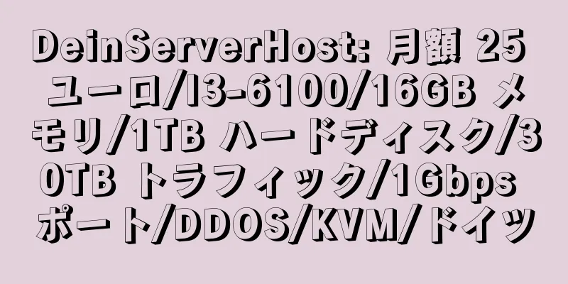 DeinServerHost: 月額 25 ユーロ/I3-6100/16GB メモリ/1TB ハードディスク/30TB トラフィック/1Gbps ポート/DDOS/KVM/ドイツ