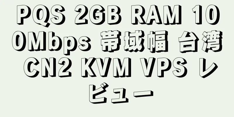 PQS 2GB RAM 100Mbps 帯域幅 台湾 CN2 KVM VPS レビュー