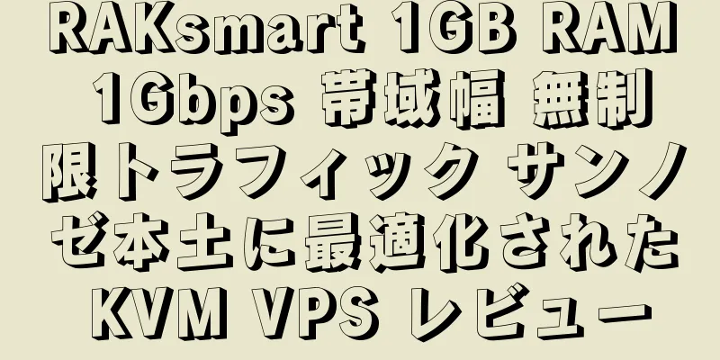 RAKsmart 1GB RAM 1Gbps 帯域幅 無制限トラフィック サンノゼ本土に最適化された KVM VPS レビュー