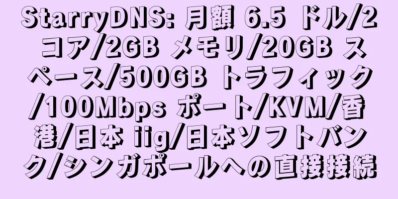 StarryDNS: 月額 6.5 ドル/2 コア/2GB メモリ/20GB スペース/500GB トラフィック/100Mbps ポート/KVM/香港/日本 iig/日本ソフトバンク/シンガポールへの直接接続