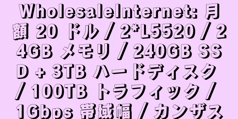 WholesaleInternet: 月額 20 ドル / 2*L5520 / 24GB メモリ / 240GB SSD + 3TB ハードディスク / 100TB トラフィック / 1Gbps 帯域幅 / カンザス