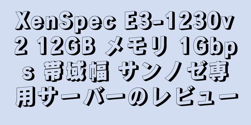 XenSpec E3-1230v2 12GB メモリ 1Gbps 帯域幅 サンノゼ専用サーバーのレビュー