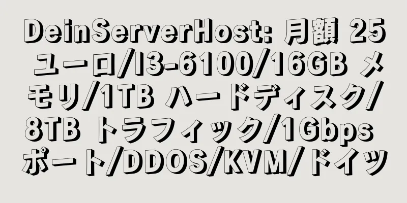 DeinServerHost: 月額 25 ユーロ/I3-6100/16GB メモリ/1TB ハードディスク/8TB トラフィック/1Gbps ポート/DDOS/KVM/ドイツ