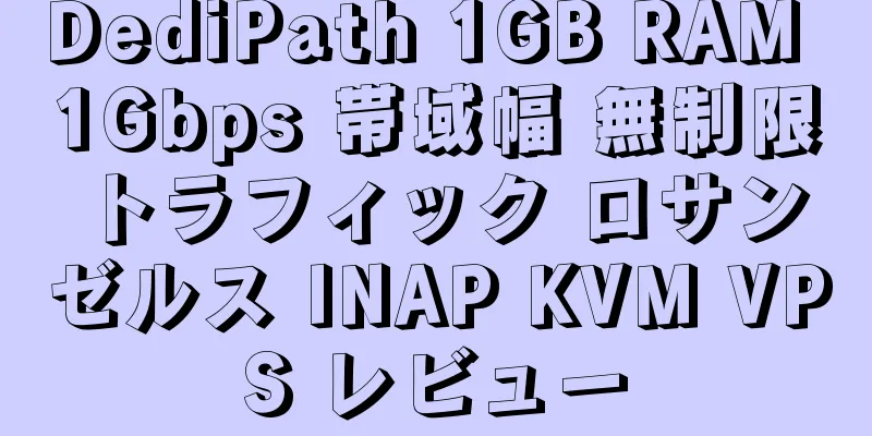 DediPath 1GB RAM 1Gbps 帯域幅 無制限トラフィック ロサンゼルス INAP KVM VPS レビュー