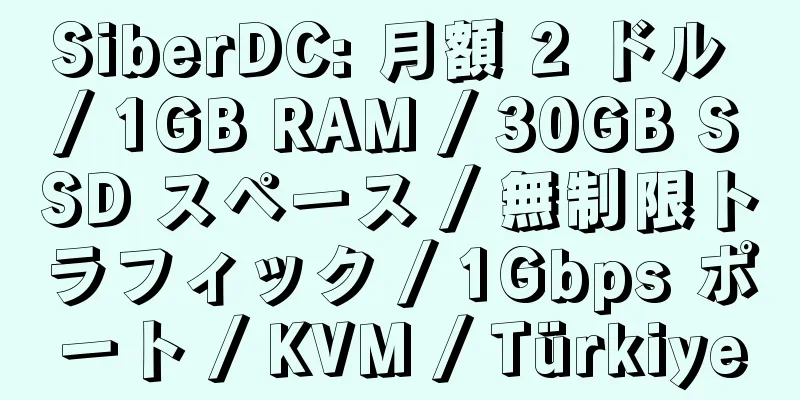 SiberDC: 月額 2 ドル / 1GB RAM / 30GB SSD スペース / 無制限トラフィック / 1Gbps ポート / KVM / Türkiye