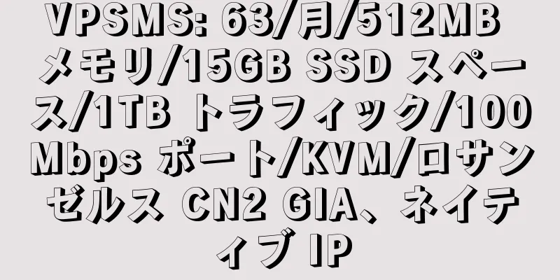 VPSMS: 63/月/512MB メモリ/15GB SSD スペース/1TB トラフィック/100Mbps ポート/KVM/ロサンゼルス CN2 GIA、ネイティブ IP