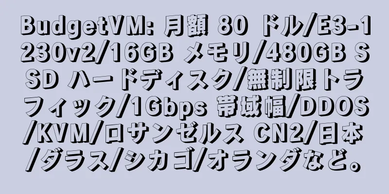 BudgetVM: 月額 80 ドル/E3-1230v2/16GB メモリ/480GB SSD ハードディスク/無制限トラフィック/1Gbps 帯域幅/DDOS/KVM/ロサンゼルス CN2/日本/ダラス/シカゴ/オランダなど。