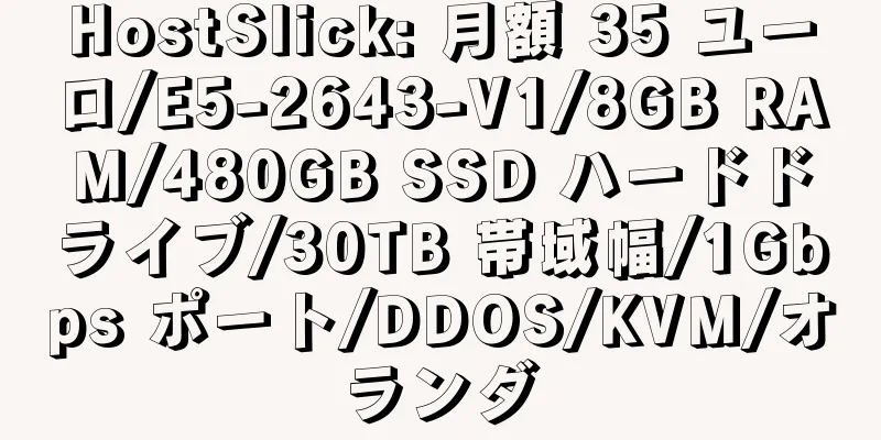 HostSlick: 月額 35 ユーロ/E5-2643-V1/8GB RAM/480GB SSD ハードドライブ/30TB 帯域幅/1Gbps ポート/DDOS/KVM/オランダ