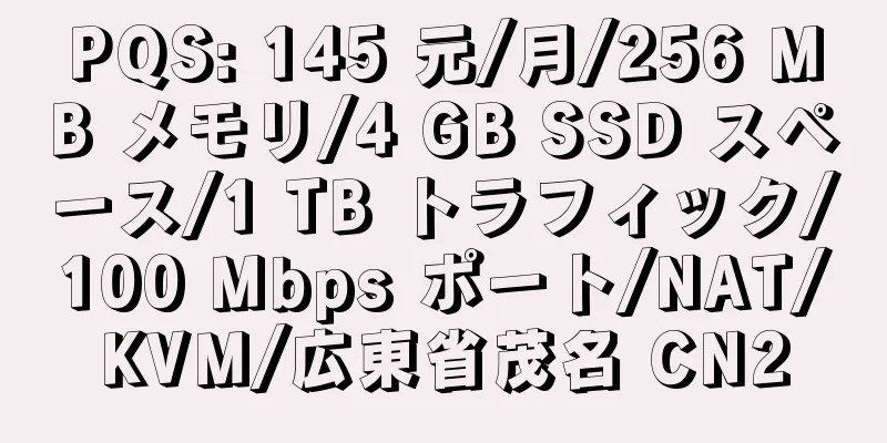 PQS: 145 元/月/256 MB メモリ/4 GB SSD スペース/1 TB トラフィック/100 Mbps ポート/NAT/KVM/広東省茂名 CN2