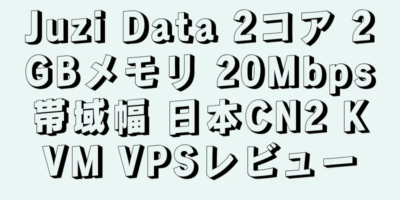 Juzi Data 2コア 2GBメモリ 20Mbps帯域幅 日本CN2 KVM VPSレビュー