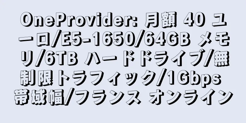 OneProvider: 月額 40 ユーロ/E5-1650/64GB メモリ/6TB ハードドライブ/無制限トラフィック/1Gbps 帯域幅/フランス オンライン