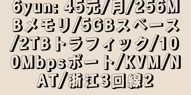 6yun: 45元/月/256MBメモリ/5GBスペース/2TBトラフィック/100Mbpsポート/KVM/NAT/浙江3回線2