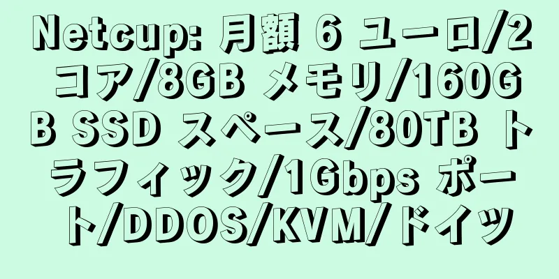 Netcup: 月額 6 ユーロ/2 コア/8GB メモリ/160GB SSD スペース/80TB トラフィック/1Gbps ポート/DDOS/KVM/ドイツ