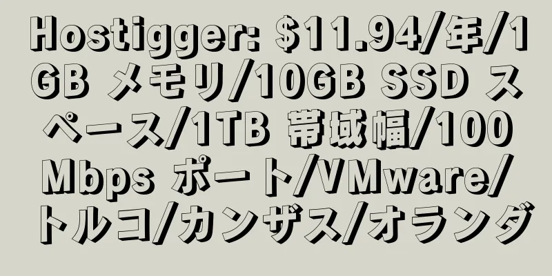 Hostigger: $11.94/年/1GB メモリ/10GB SSD スペース/1TB 帯域幅/100Mbps ポート/VMware/トルコ/カンザス/オランダ