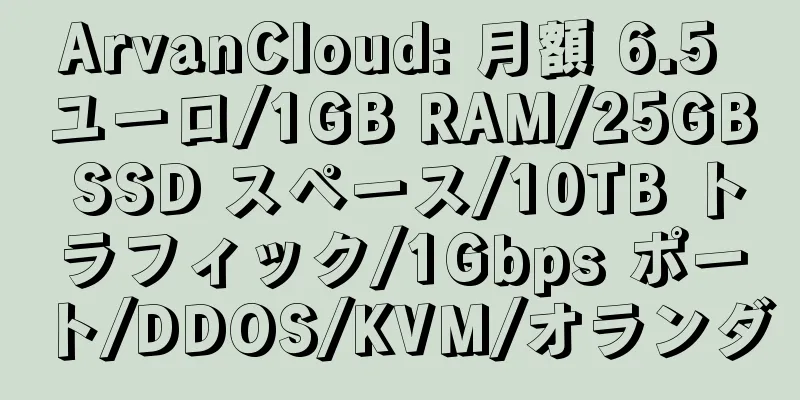 ArvanCloud: 月額 6.5 ユーロ/1GB RAM/25GB SSD スペース/10TB トラフィック/1Gbps ポート/DDOS/KVM/オランダ