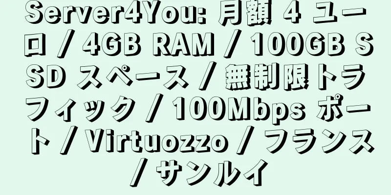 Server4You: 月額 4 ユーロ / 4GB RAM / 100GB SSD スペース / 無制限トラフィック / 100Mbps ポート / Virtuozzo / フランス / サンルイ