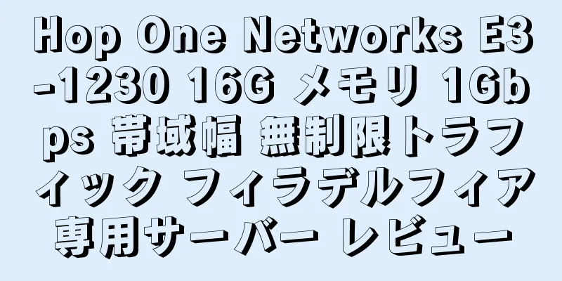 Hop One Networks E3-1230 16G メモリ 1Gbps 帯域幅 無制限トラフィック フィラデルフィア専用サーバー レビュー