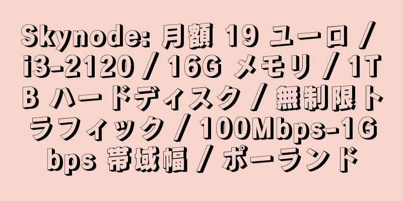 Skynode: 月額 19 ユーロ / i3-2120 / 16G メモリ / 1TB ハードディスク / 無制限トラフィック / 100Mbps-1Gbps 帯域幅 / ポーランド