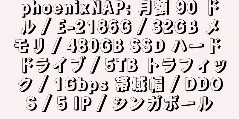 phoenixNAP: 月額 90 ドル / E-2186G / 32GB メモリ / 480GB SSD ハード ドライブ / 5TB トラフィック / 1Gbps 帯域幅 / DDOS / 5 IP / シンガポール