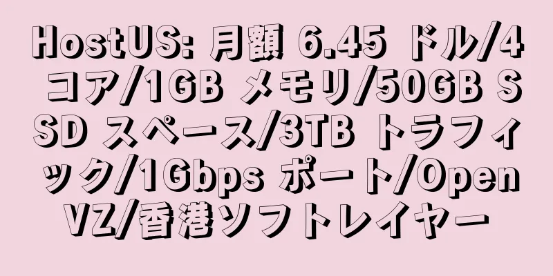 HostUS: 月額 6.45 ドル/4 コア/1GB メモリ/50GB SSD スペース/3TB トラフィック/1Gbps ポート/OpenVZ/香港ソフトレイヤー