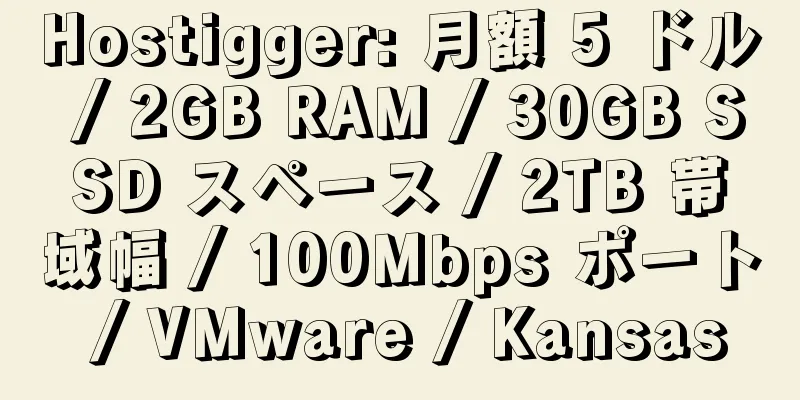 Hostigger: 月額 5 ドル / 2GB RAM / 30GB SSD スペース / 2TB 帯域幅 / 100Mbps ポート / VMware / Kansas