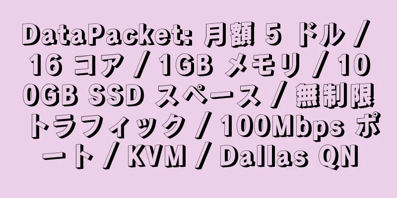 DataPacket: 月額 5 ドル / 16 コア / 1GB メモリ / 100GB SSD スペース / 無制限トラフィック / 100Mbps ポート / KVM / Dallas QN