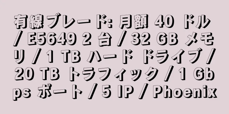 有線ブレード: 月額 40 ドル / E5649 2 台 / 32 GB メモリ / 1 TB ハード ドライブ / 20 TB トラフィック / 1 Gbps ポート / 5 IP / Phoenix