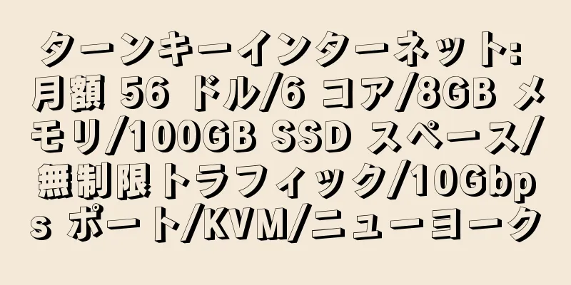 ターンキーインターネット: 月額 56 ドル/6 コア/8GB メモリ/100GB SSD スペース/無制限トラフィック/10Gbps ポート/KVM/ニューヨーク