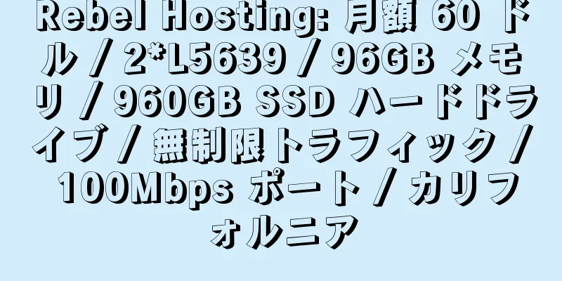 Rebel Hosting: 月額 60 ドル / 2*L5639 / 96GB メモリ / 960GB SSD ハードドライブ / 無制限トラフィック / 100Mbps ポート / カリフォルニア