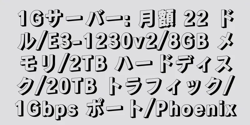 1Gサーバー: 月額 22 ドル/E3-1230v2/8GB メモリ/2TB ハードディスク/20TB トラフィック/1Gbps ポート/Phoenix