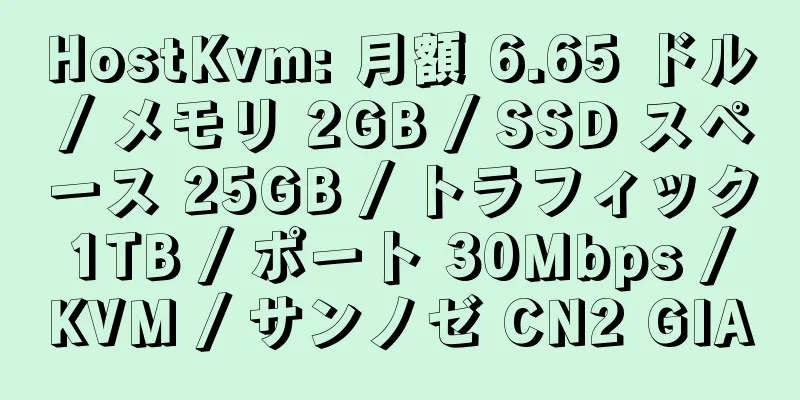 HostKvm: 月額 6.65 ドル / メモリ 2GB / SSD スペース 25GB / トラフィック 1TB / ポート 30Mbps / KVM / サンノゼ CN2 GIA