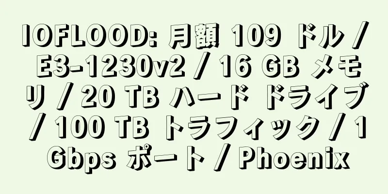 IOFLOOD: 月額 109 ドル / E3-1230v2 / 16 GB メモリ / 20 TB ハード ドライブ / 100 TB トラフィック / 1 Gbps ポート / Phoenix