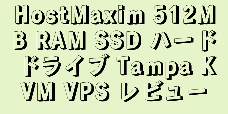 HostMaxim 512MB RAM SSD ハードドライブ Tampa KVM VPS レビュー