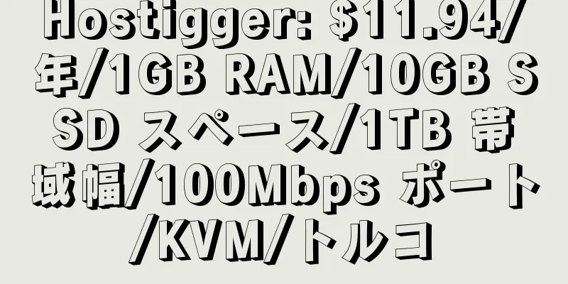 Hostigger: $11.94/年/1GB RAM/10GB SSD スペース/1TB 帯域幅/100Mbps ポート/KVM/トルコ