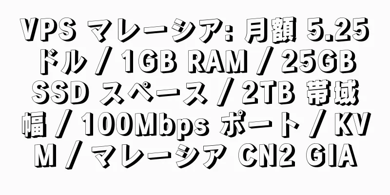 VPS マレーシア: 月額 5.25 ドル / 1GB RAM / 25GB SSD スペース / 2TB 帯域幅 / 100Mbps ポート / KVM / マレーシア CN2 GIA